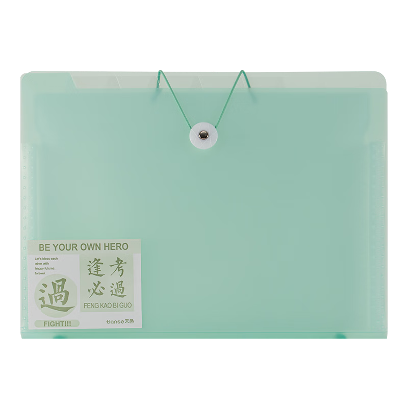 TIANSE Exam Paper Storage Bag, 8-Compartment Accordion Folder, A4 Multi-Layer File Folder, Accordion File Folder Document Organizer, Student Exam Paper Folder, TS-1831, Gree