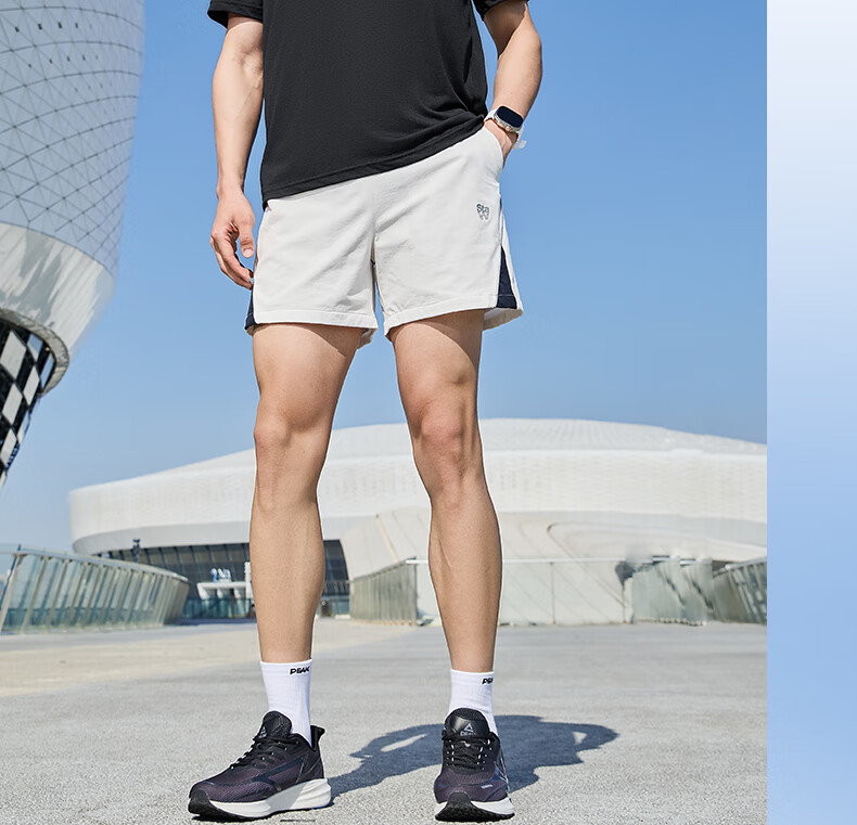 Peak Men's Summer Short Sleeve Quick-Dry Breathable Sports Loose Running Base T-Shirt DF652471 12
