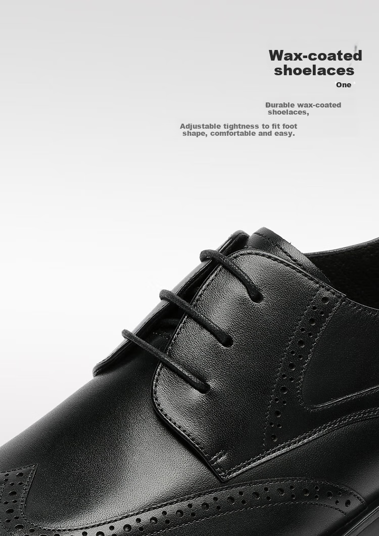 Goldlion Men's Shoes, Urban Formal Wear, Distinctive Carved Leather Shoes, Durable And Comfortable Brogue Shoes, 59621018401A, Black, Size 41 6