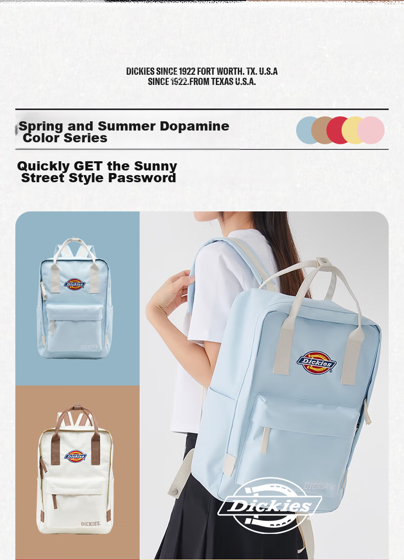Dickies Girls' Backpack with Multiple Compartments, Mini Schoolbag for Middle School, High School And College Students, Stylish DK Casual Lightweight Small Backpack 4