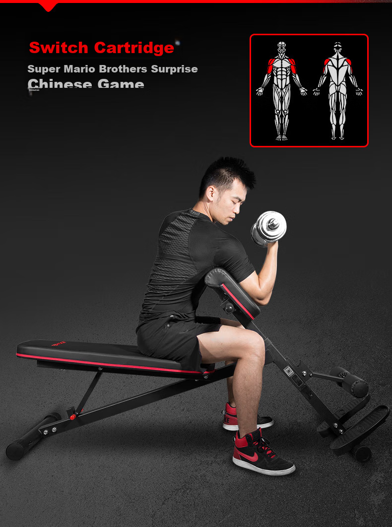 RIDO Roman Chair Adjustable Height Multi-Functional Dumbbell Bench for Home Gym Equipment TD35 14