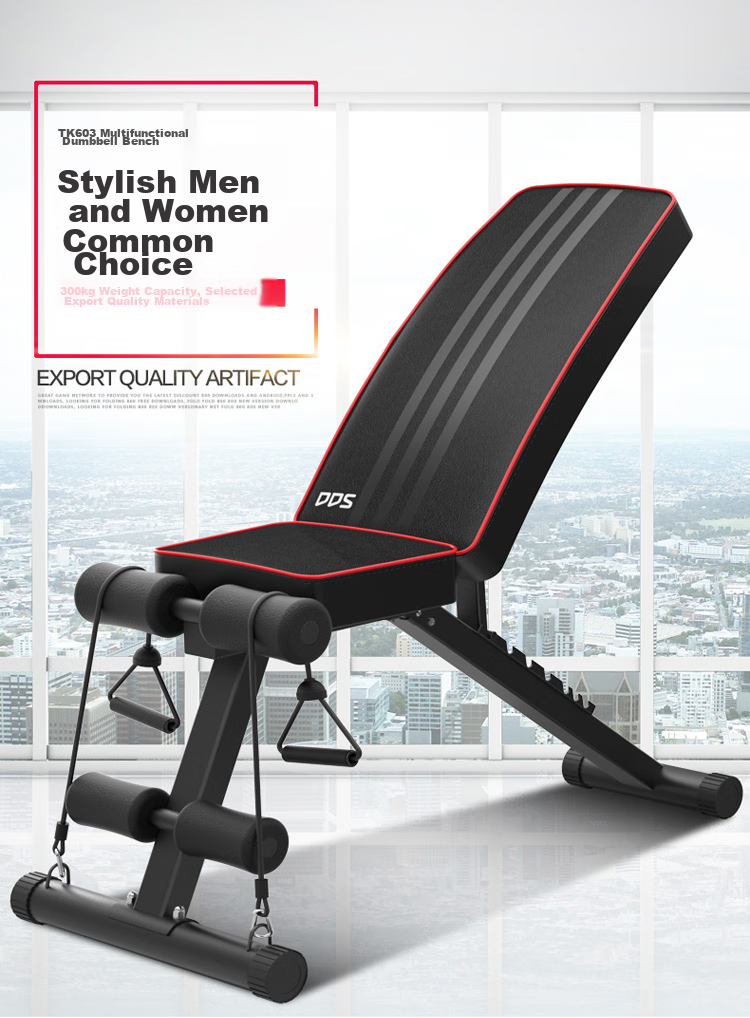 DDS Multifunctional Dumbbell Bench Fitness Equipment Home Gym Chair Bench Press Sit-Up Exercise Equipment DDS1217 1