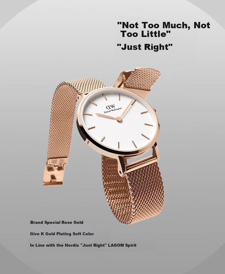 Daniel Wellington DW Women's Watch Luxury Minimalist Quartz European and American Style Wristwatch Gift Box Birthday Present for Girlfriend DW219 4