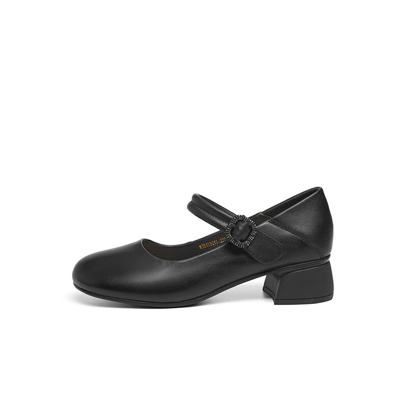 RED DRAGONFLY Shallow Women's Flats, Spring Women's Shoes, Mary Jane Thick Heel Comfortable Women's Shoes WJB15806, Black, Size 38