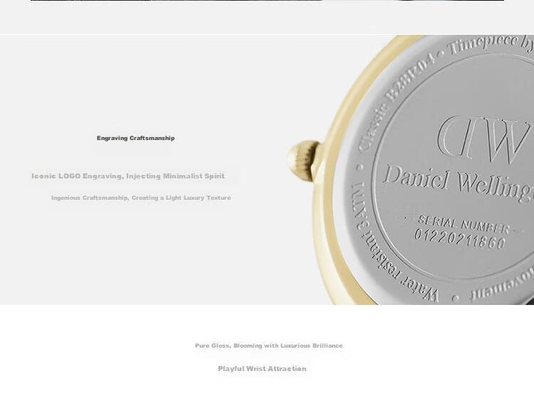 DanielWellington DW Ladies Watch, Light Luxury Gold-Plated Simple Quartz Wristwatch for Women, Birthday Gift for Girlfriend, DW350 5