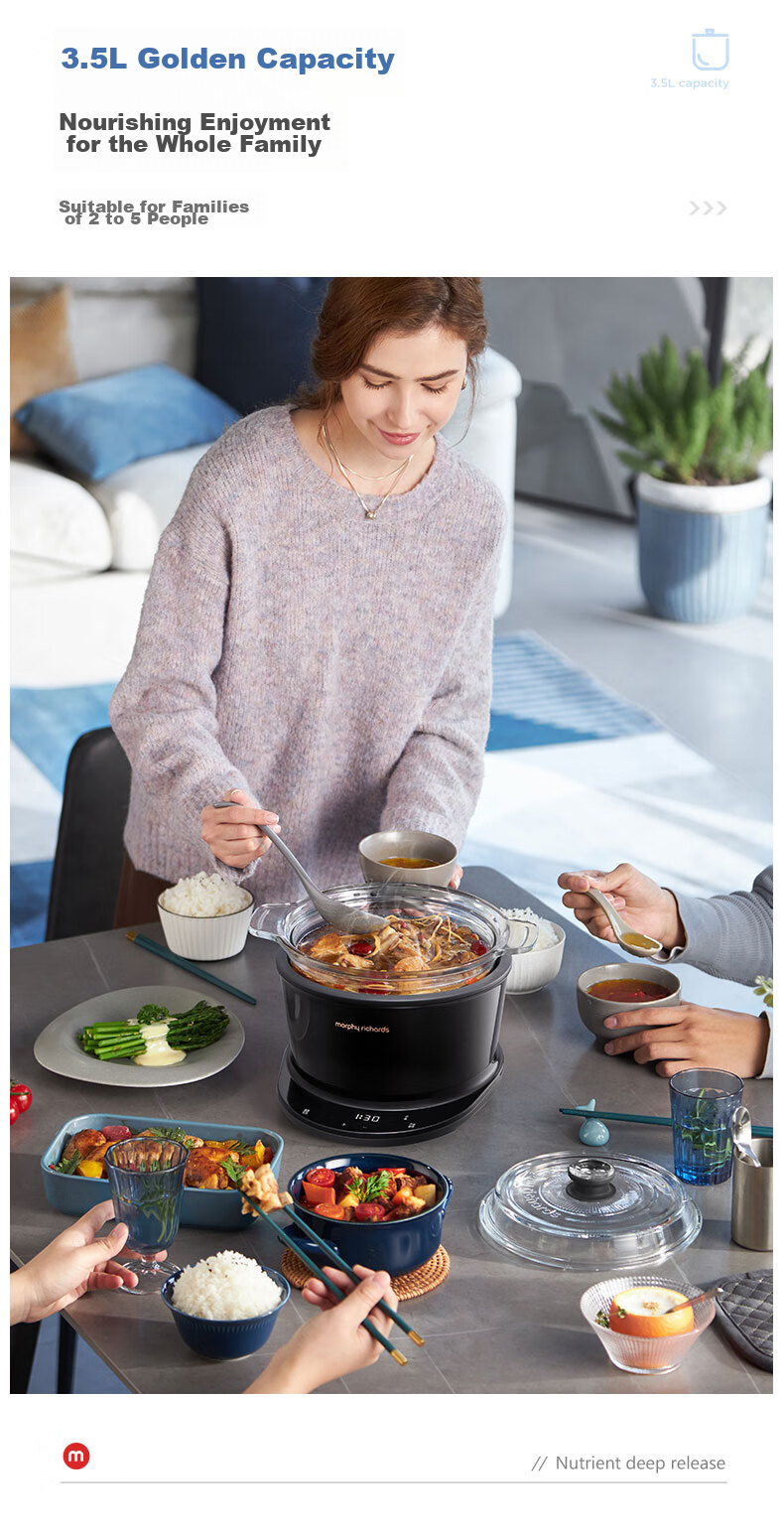 Morphyrichards Multi-Functional Electric Stew Pot, Home Use for Cooking Medicinal Food, 3.5L Soup Pot, Health Pot with Timer Function, Electric Cooking Pot for Stewing Soup, Porridge Cooker, Baby Food Processor, MR9082 6