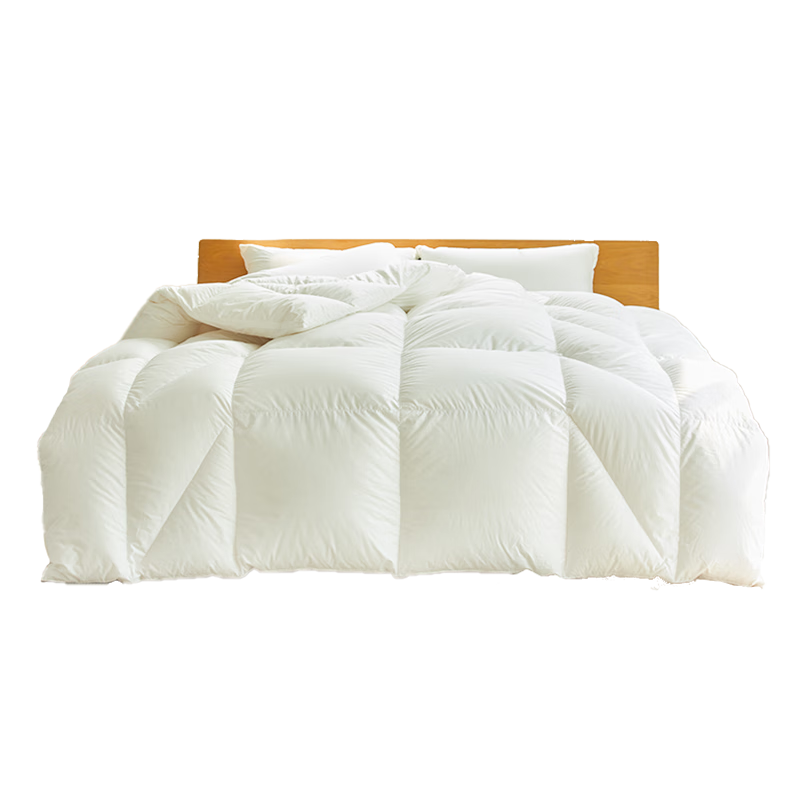 Interlagos Ergonomic 95% White Goose Down Comforter, Japanese Imported Duvet Insert, 700g Winter Quilt, 150*200cm