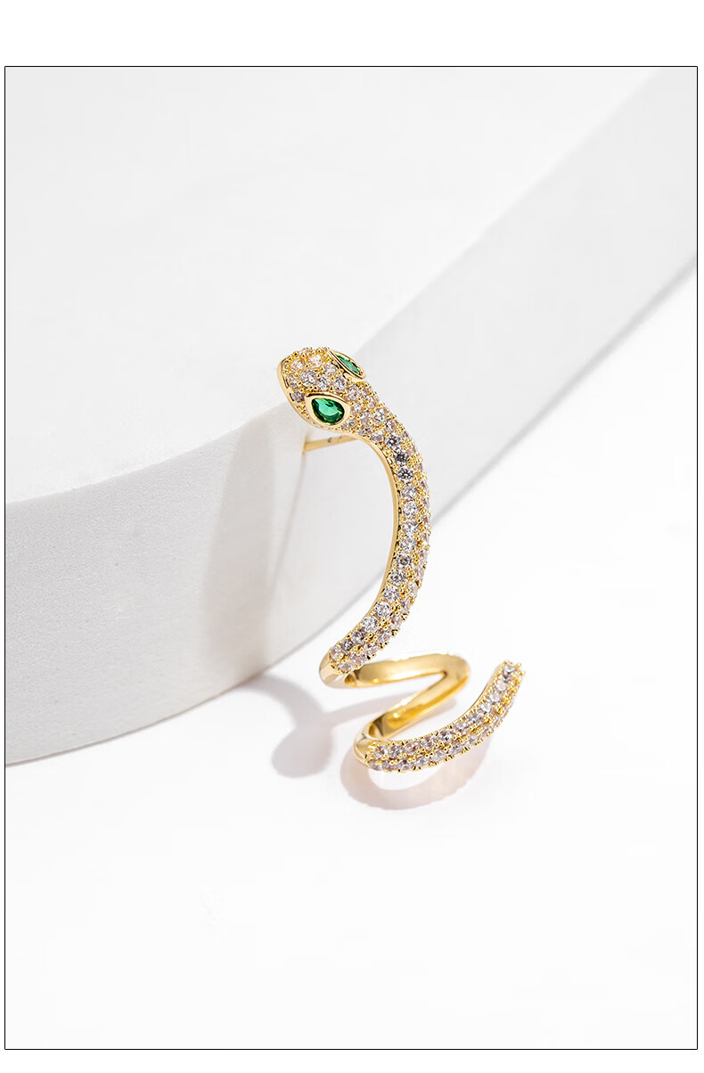 Qlady Snake Ear Studs for Women, 2026 New Year Style, Elegant High-End Bone Studs, Unique Niche Earrings, Luxurious Ear Accessories for Wome 8