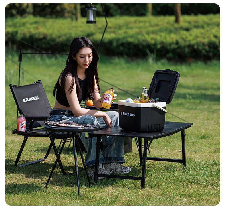 Black Dog Outdoor Cooler Box for Camping, Picnic, Cold Storage, Food Preservation, Takeout And Fishing, 25L Night Black 31