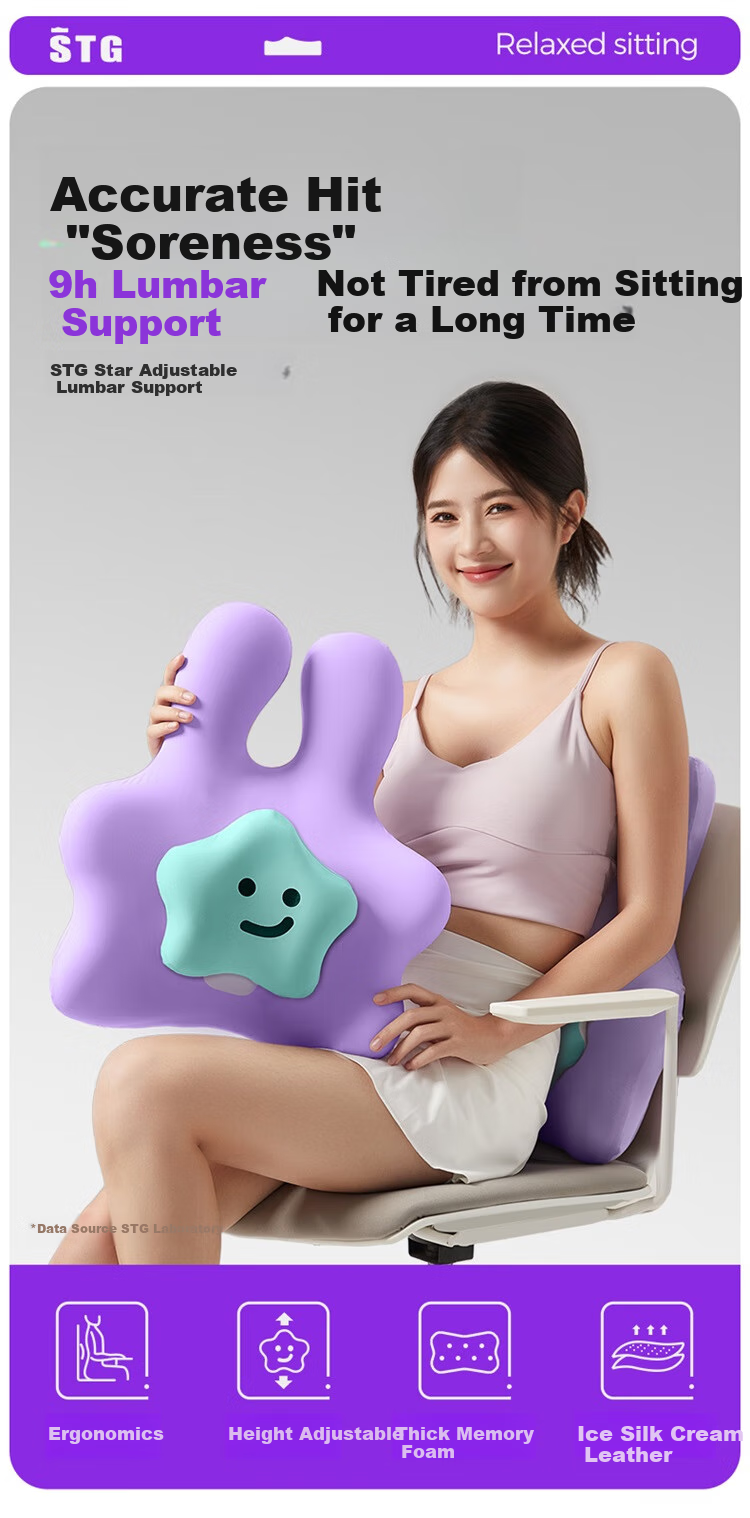 SITGOOD Lumbar Support Cushion, Office Back Pillow, STG Seat Pad, Long-Sitting Waist Protector, Mid-Autumn Festival Gift, Purple 1