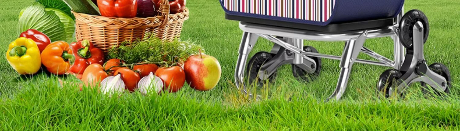Paiying Portable Shopping Cart Foldable Lightweight Grocery Trolley Elderly Hand Push Pull Rod Cart Stair Climbing Helper 1