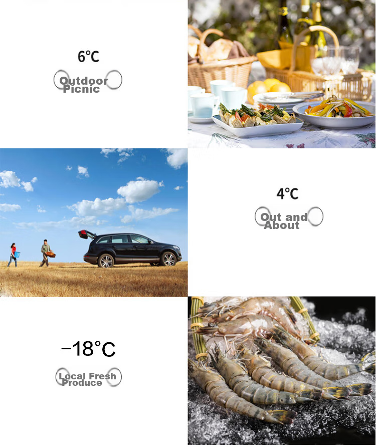 QIXUAN Q18 Car Refrigerator, Mini Fridge with Compressor Cooling, Freezing And Refrigeration Capabilities, Can Form Ice, Outdoor And Home Appliance 9