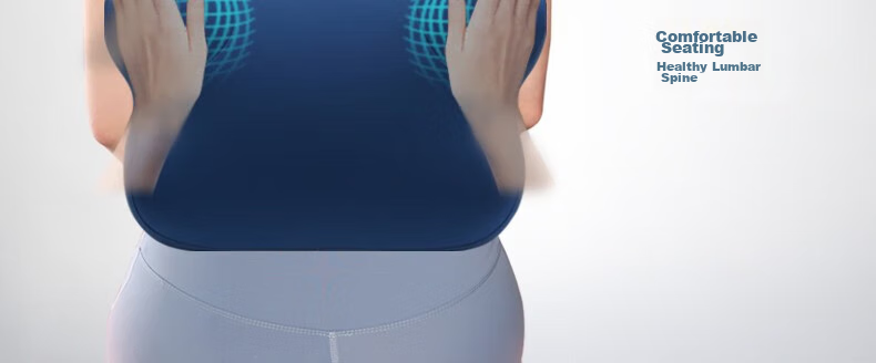 Back2 Lumbar Support Cushion for Office, Ergonomic Back Pillow, Long-Sitting Aid, Car Seat Cushion, Waist Pillow 28