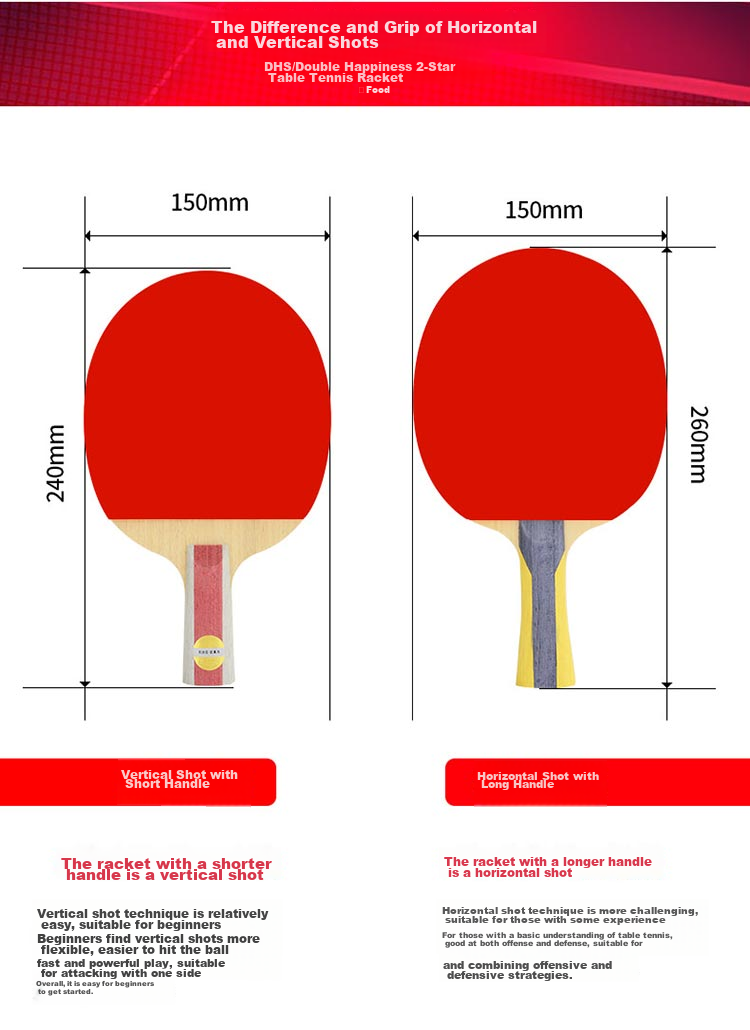 DHS Table Tennis Racket, Two-Star Straight Handle, Single Racket F2006, Includes Racket Case + Ping Pong Ball 10