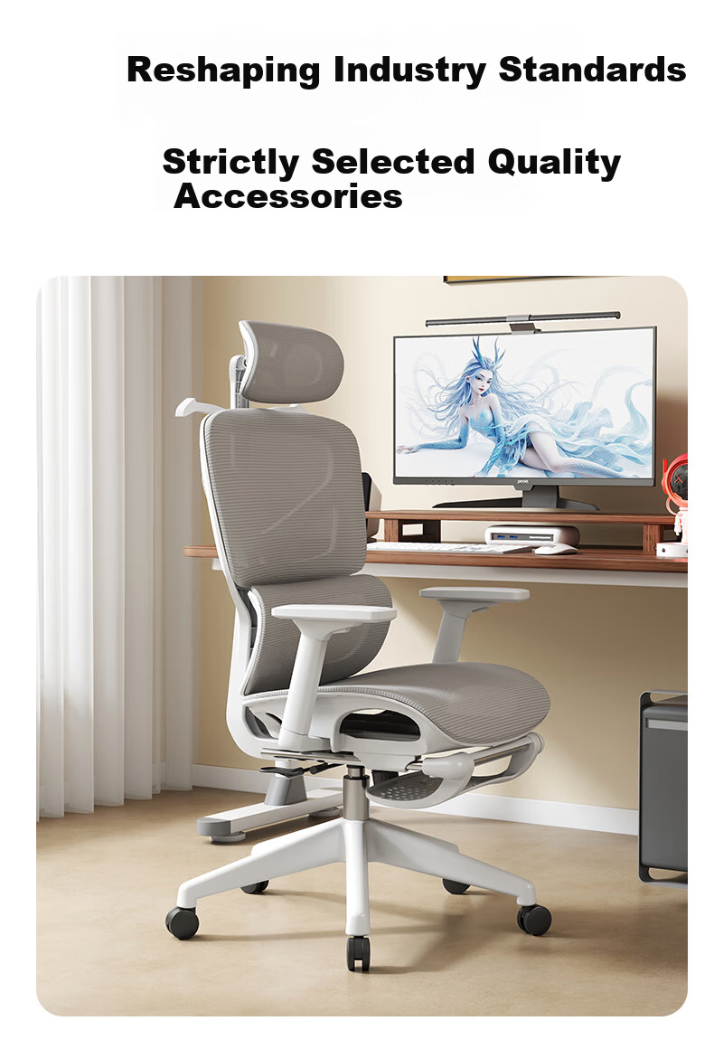 Qishengmingyuan LC-1895 Ergonomic Office Chair with Dual Backrest, Lumbar Support And Footrest for Computer Workstation And Gaming 14