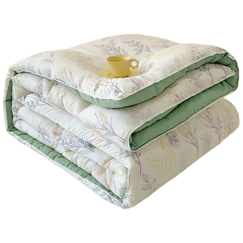 Grace Comforter Class A Thick Warm Winter Spring Autumn Double Bedding 200*230cm 6 Ji