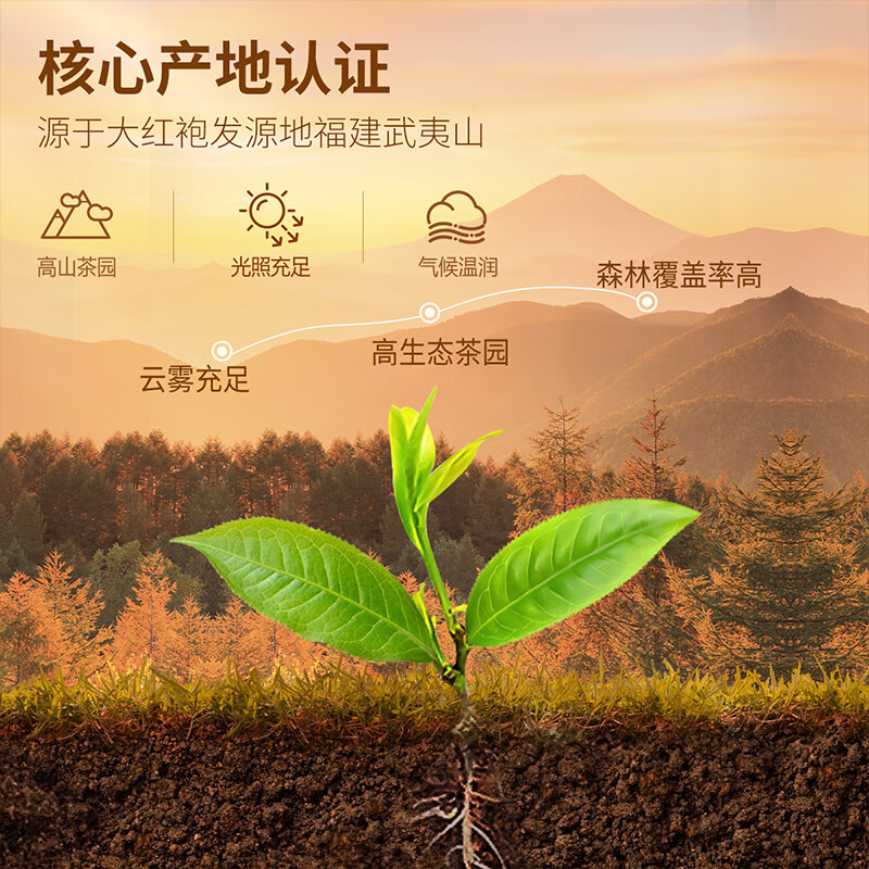 忆江南特级大红袍茶叶礼盒225g乌龙茶节日送礼父母长辈礼物天尊