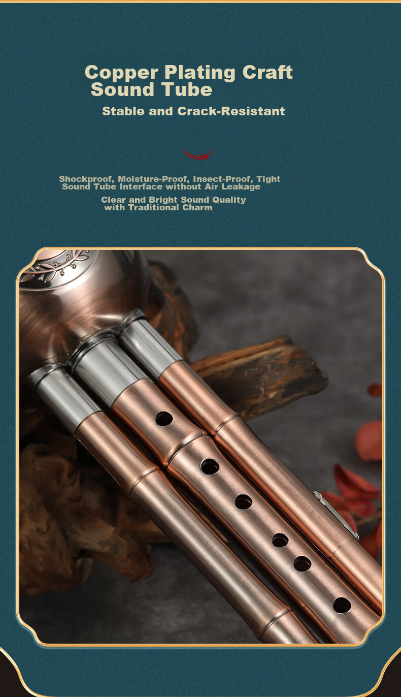 SWAN Hulusi H62A Elementary School Student Dedicated Instrument, Shockproof, Seven Holes, for Beginners And Adults, High-End Silver-Plated C Key Hulusi 10