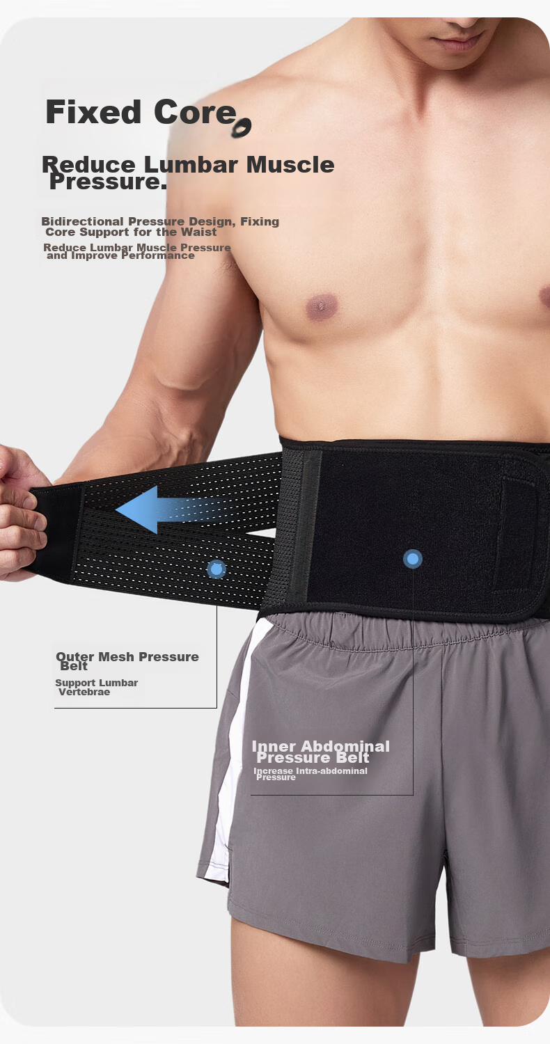 ANTA Waist Support Belt for Herniated Disc, Prolonged Sitting, Lumbar Muscle Strain, Lumbar Pain, Back Brace, Waist Protection, Back Support, Size L 4