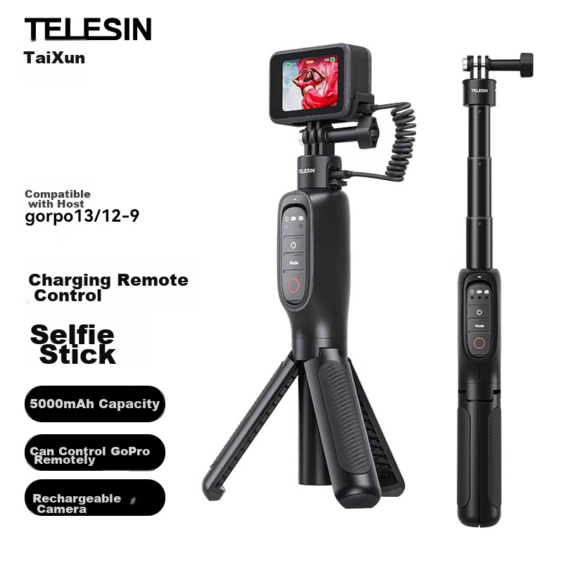 TELESIN Co-01249622