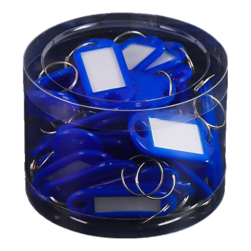TaTanice Detachable Key Tag Storage, Markable, Intermediary Key Tag Classification, Key Tag for Rental Houses, Office And Home Management Marking, 50 Key Tags in Jar, Blue