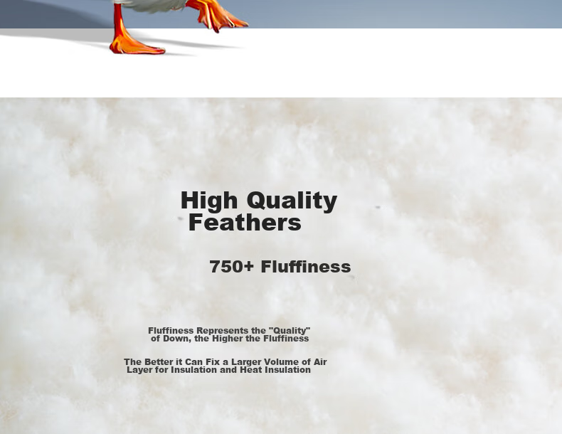Interlagos Ergonomic 95% White Goose Down Comforter, Japanese Imported Duvet Insert, 700g Winter Quilt, 150*200cm 10