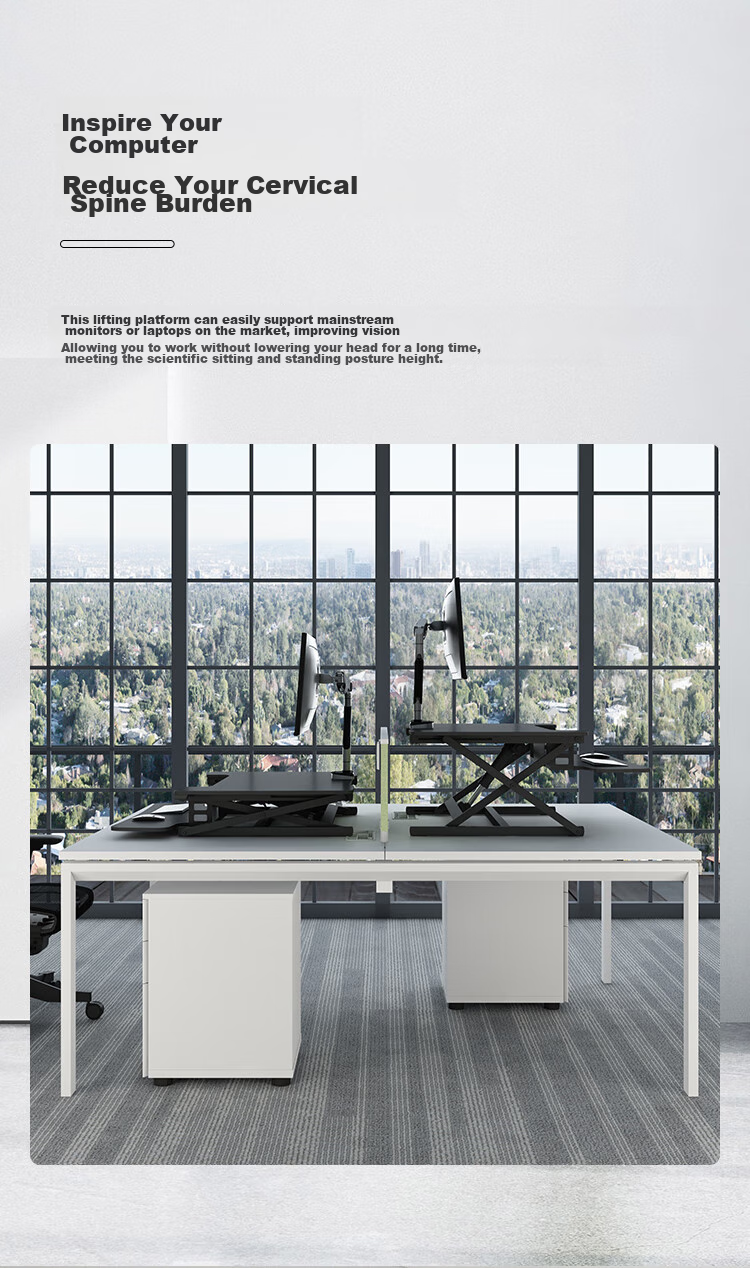 Loctek Height Adjustable Computer Desk, Standing Desk, Electric Lift Desk EM2M Elegant Black 18