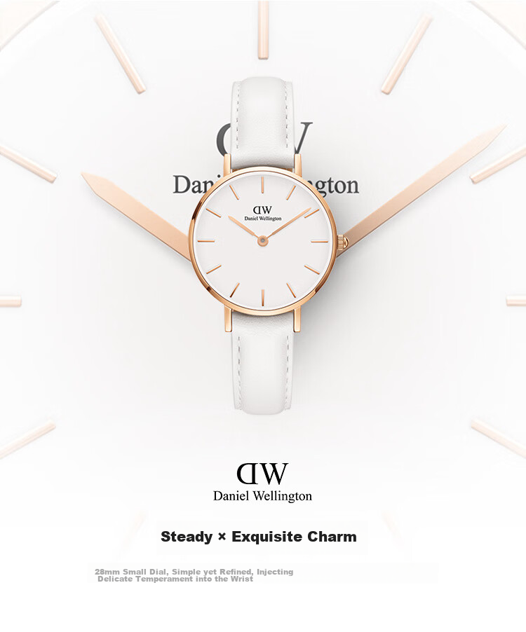 DanielWellington DW Ladies' Watch, Classic Leather Simple Fashion European And American Quartz Wristwatch, Birthday Gift for Girlfriend, DW228 2