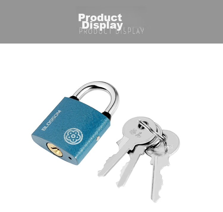 BLOSSOM Master Key Padlock Door Lock Power Lock Distribution Box Lock BC2938-1 Blue 38MM One Key Opens Multiple Locks 10