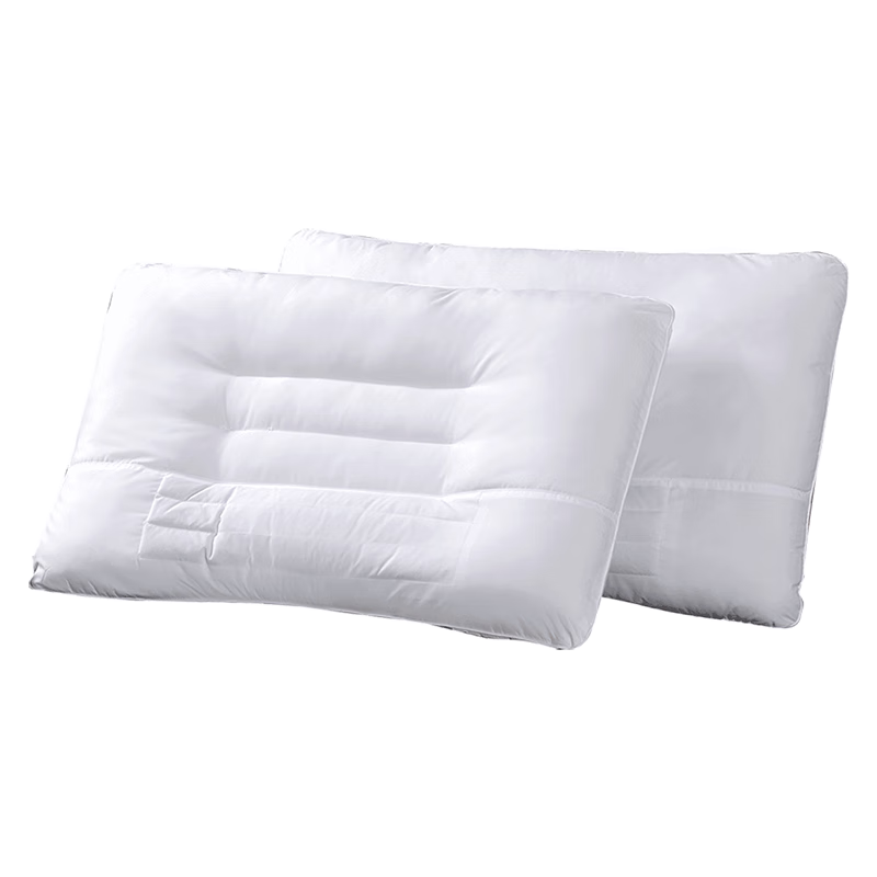 FUANNA Cassia Seed Cervical Pillow, Antibacterial Adult Pillow Set of Two, Neck Support Sleep Aid Pillow Core 74*48cm