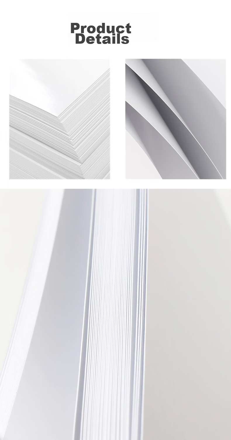 DOCON 200g A3++ Single-Sided High-Gloss Inkjet Coated Paper, 50 Sheets Color Printing Paper, Glossy Photo Paper, Smooth Printing Paper for Photos, Magazines, Single Pages, Brochures, Calendars, Handmade DIY 6