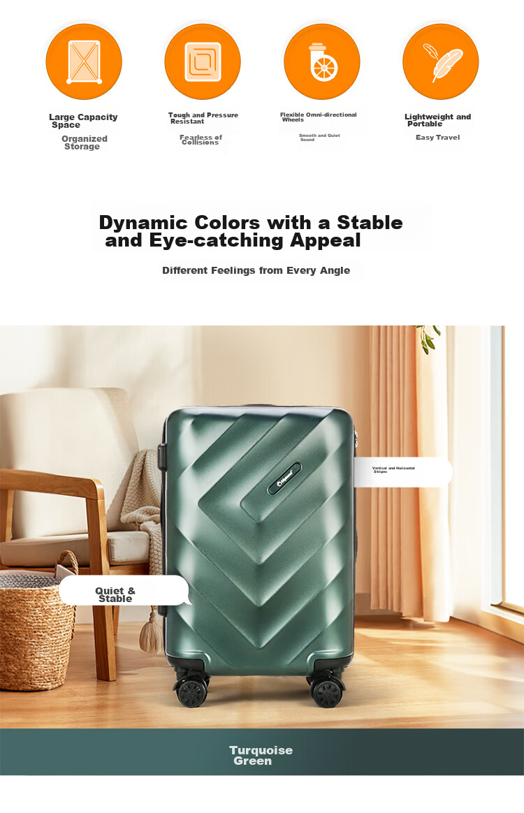 Diplomat 24-Inch Large Capacity Suitcase, Trolley Case with Password Lock for Men And Women, Travel Luggage TC-23263 Gree 3