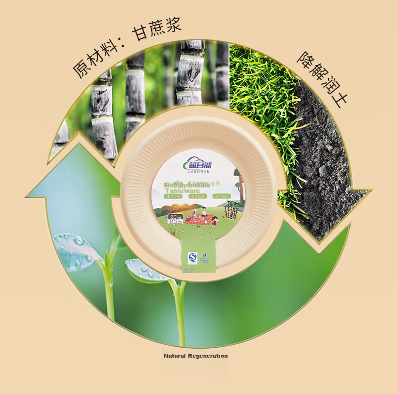 LANZIRAN Disposable Sugarcane Biodegradable Paper Bowls, 40 Count, 500ml Capacity, for Picnic, Camping, Outdoor Barbecue Use 4