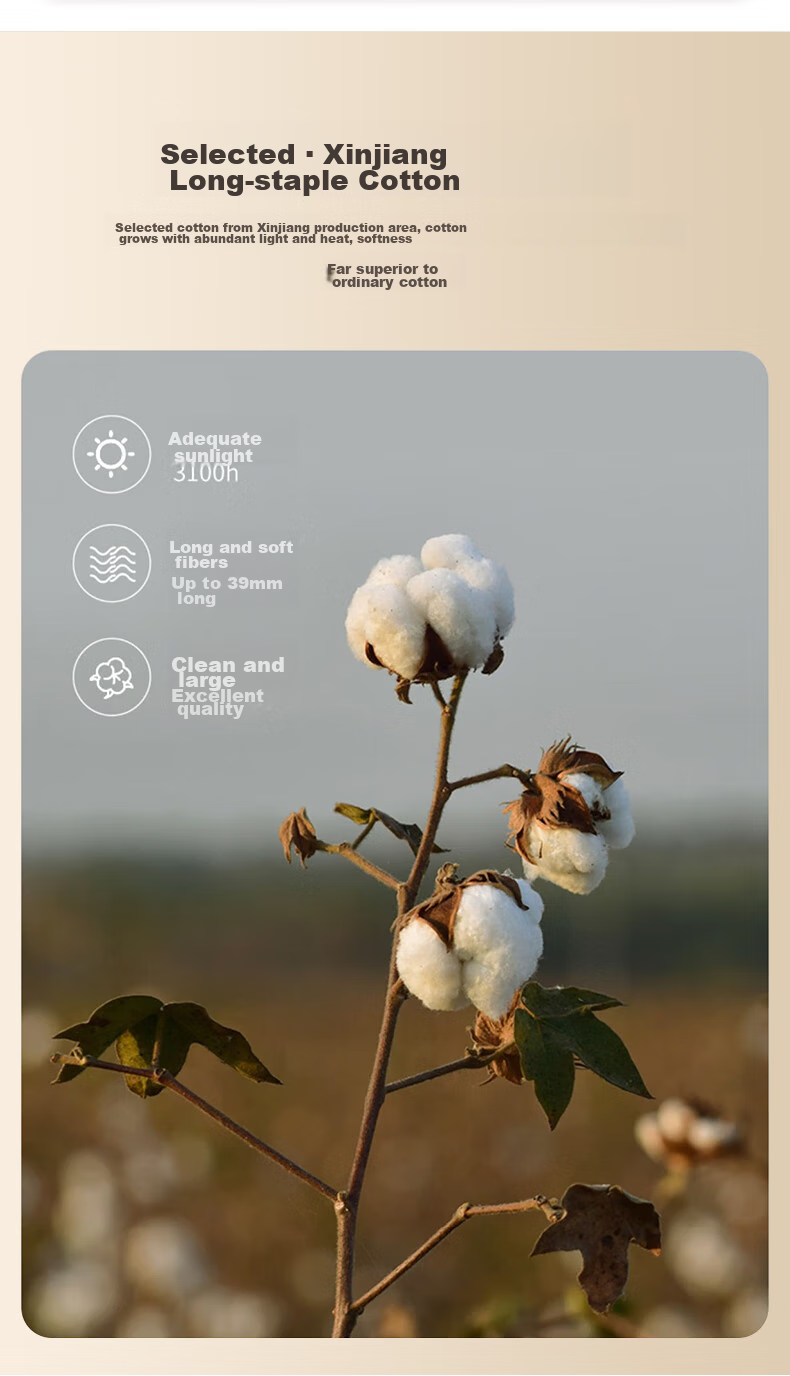 Sushidai 100% Xinjiang Long-Staple Cotton Quilt, Spring And Autumn All-Cotton Comforter, Thin Cool Air Conditioning Quilt for Summer, 2 Jin (1 Kg), 150*200cm 3