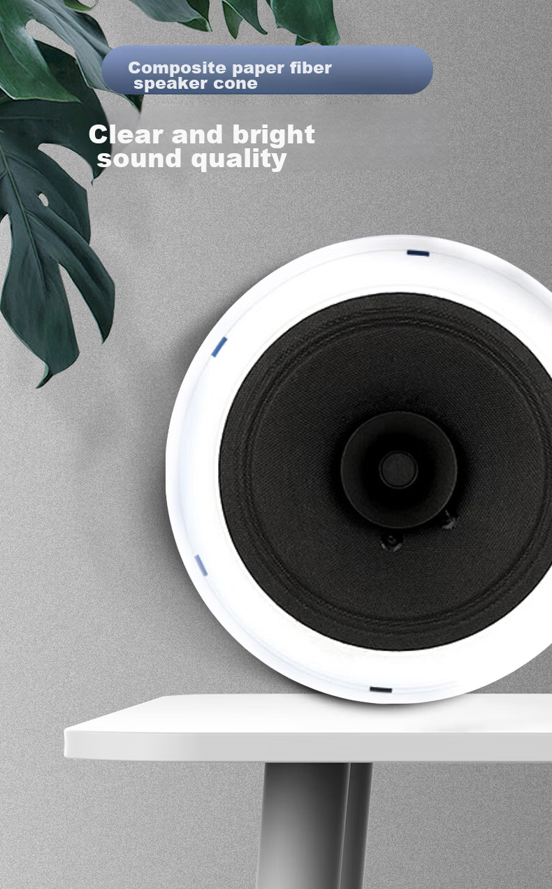 Newmine ND-12Y Constant Voltage Ceiling Speaker, Recessed Background Music Sound System for Suspended Ceilings, Embedded Public Address System for Shopping Malls And Stores, 6 Inches 2