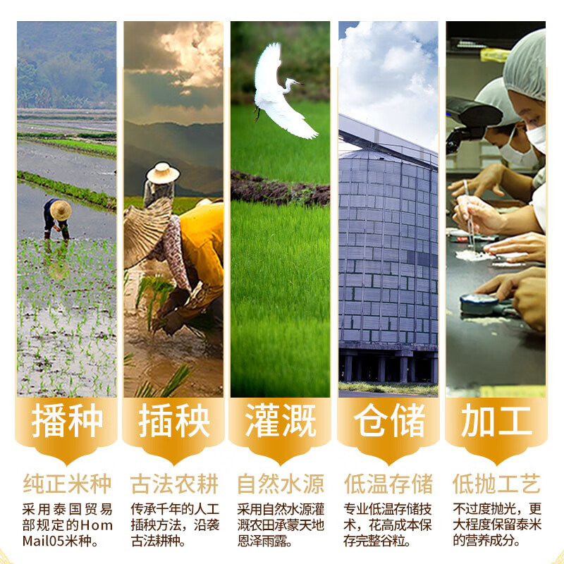 王家粮仓 泰国原装进口  苏吝府泰国茉莉香米 真空包装大米 泰国香米20斤