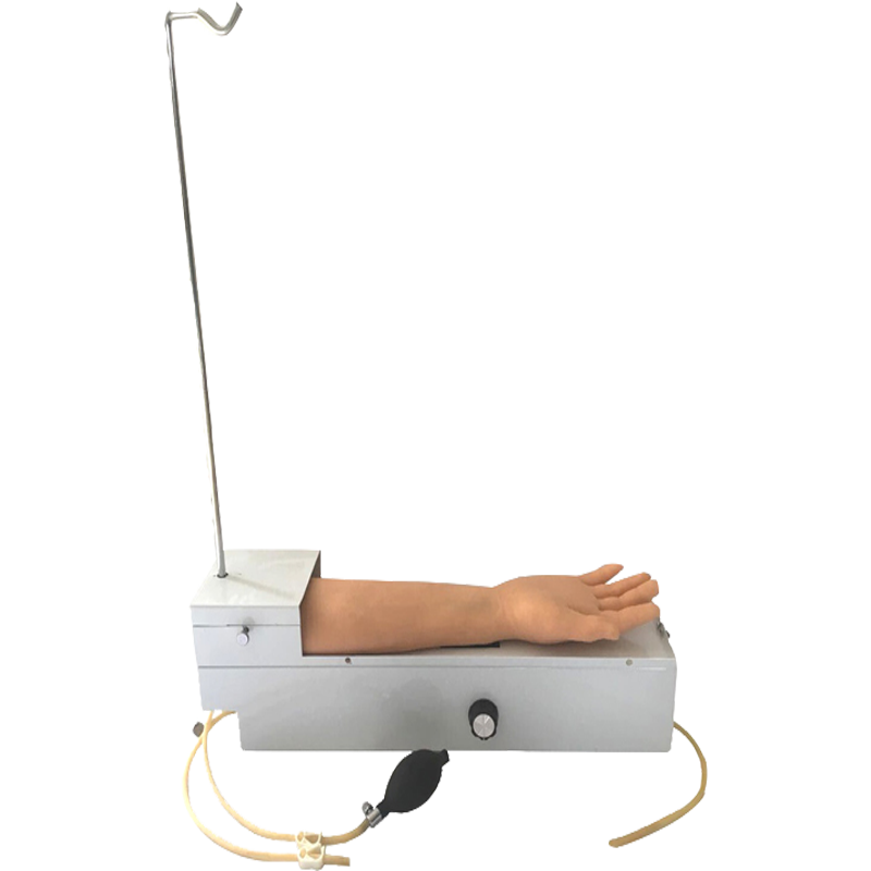 旋转式桡动脉穿刺手臂模型佳悦科教通hs4f【图片 价格 品牌 报价】