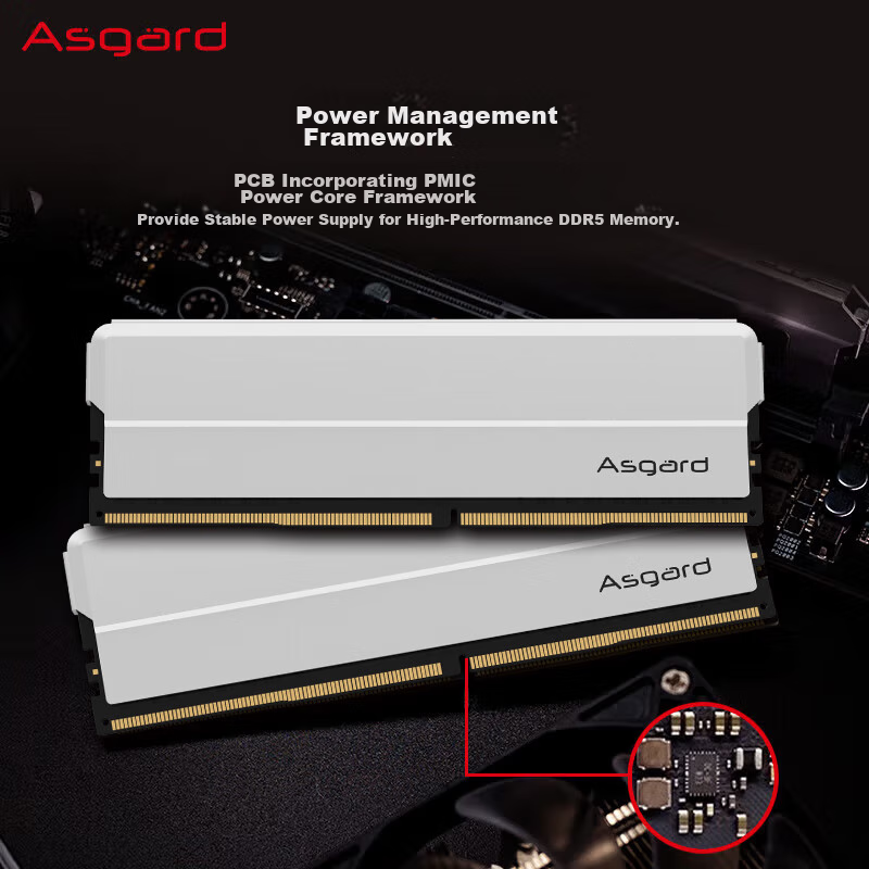 阿斯加特（Asgard）32GB(16GBx2) DDR5 6000 台式机内存条 海拉 马甲条 海力士M-die CL30 星光银