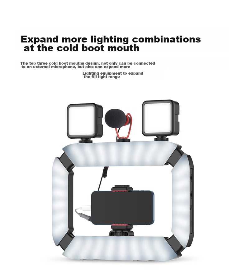 Ulanzi U200 Handheld Ring Light with Dual Color Temperature, for TikTok Live Streaming, Tattoo, Manicure, Eyelash Extension, Photography, Mobile And Mirrorless Camera Lighting, Rabbit Cage Live Streaming Stand 10