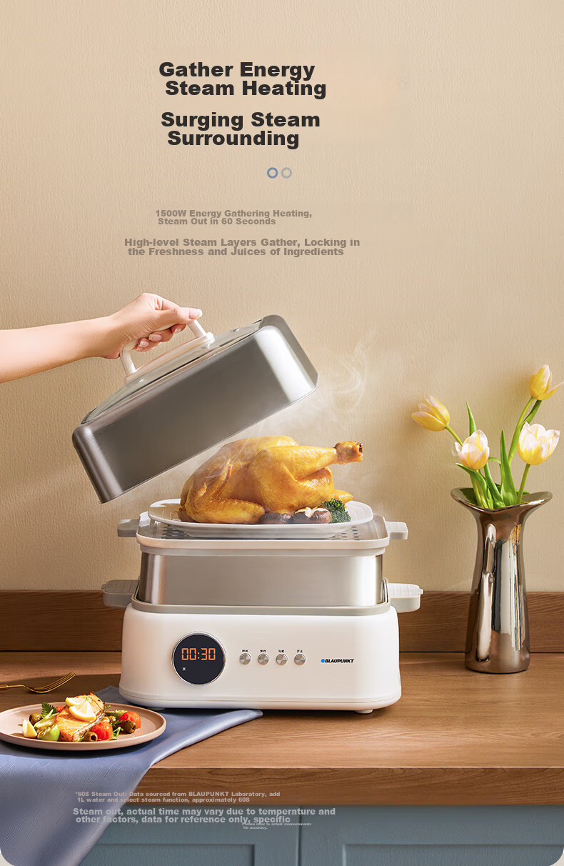 BLAUPUNKT Stainless Steel Electric Steamer, Multifunctional Steaming And Stewing Pot, 10L Double-Layer Steamer, All-In 24H Smart Reservation Cooking Pot, Steamed Bun Electric Stew Pot ZG03B 10