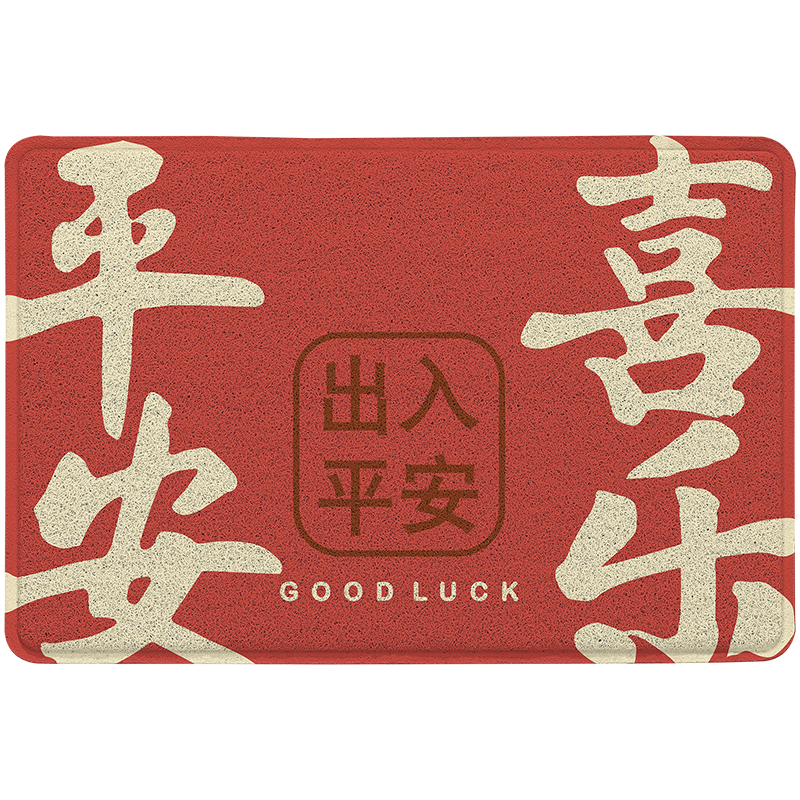 Dajiang Entrance Mat, Doormat, Non-Slip Entrance Carpet, Safe Entry Mat, Doorway Rug, 60x90cm