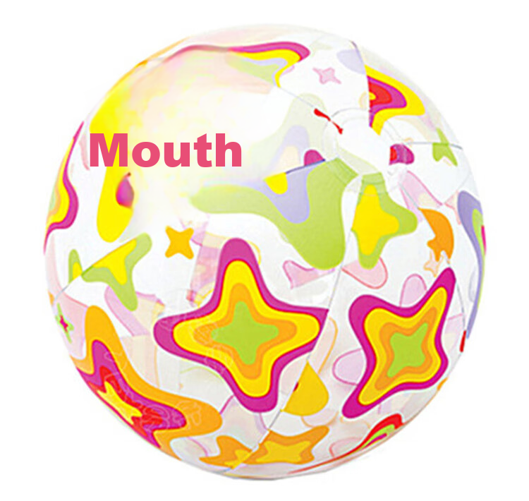 INTEX Underwater World Beach Ball, Four-Color Transparent Beach Ball Children's Toy Ball 32cm Pattern Randomly Sent 59040 7