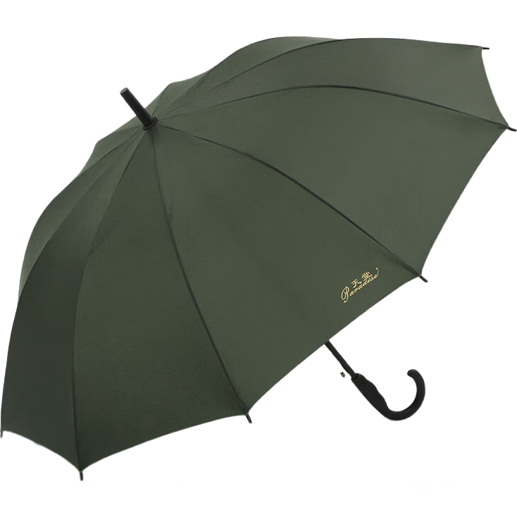 Tiantangshan Large Umbrella with Long Handle, Semi-Automatic Extra-Large 10-Rib Reinforced Business Umbrella, Cold Mountain Gree
