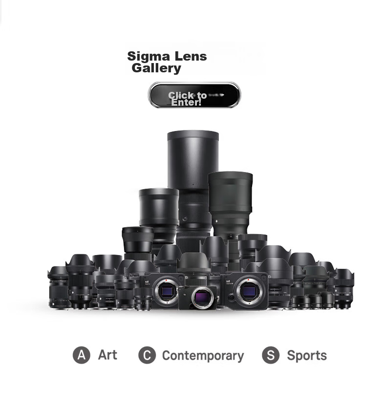 SIGMA Art 85mm F1.4 DG DN Full-Frame Mirrorless Large Aperture Prime Lens for Portraits And Close-Ups (Sony E-Mount) 15
