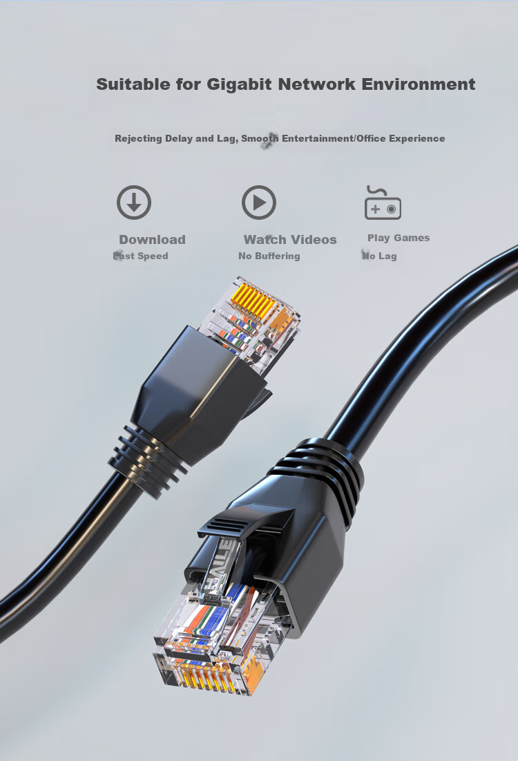 HAILE Cat5e Pure Copper Outdoor Special Network Cable for Engineering And Home Use, Waterproof And Sunproof with RJ45 Connectors, 60 Meters, Finished Broadband Monitoring Outdoor Network Patch Cable HT-6508 8