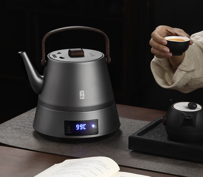 Biooner Fully Automatic Electric Kettle Water Boiler Tea Maker with Integrated Tea Table And Coffee Table for Brewing Tea And Coffee, Titanium Gray with Handle Steel Pot 15