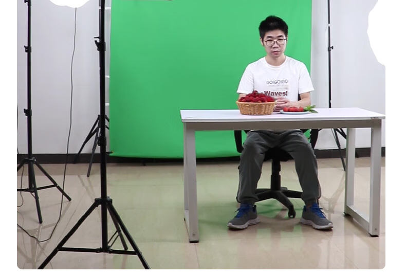 Hakutatz 2*3 Meter Green Photo Backdrop Cloth, Photography Portrait Film And TV Green Screen, Live Streaming Room Solid Color Background Wall Chroma Key Cloth, Fill Light Shooting Short Video Props Green Cloth Background Stand 14