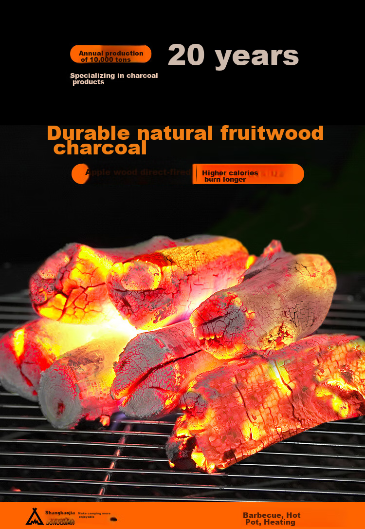 Suncojia Outdoor 304 Stainless Steel BBQ Grill Charcoal Barbecue Stove Large Lamb Skewer Grill Rack 1