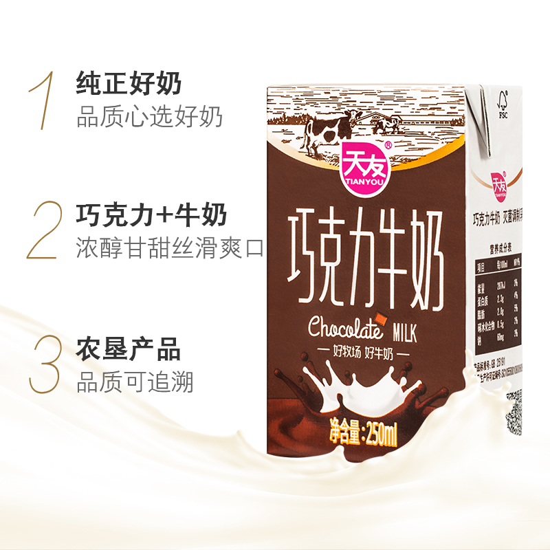 天友巧克力牛奶250ml*24盒早餐牛奶 丝滑巧克力