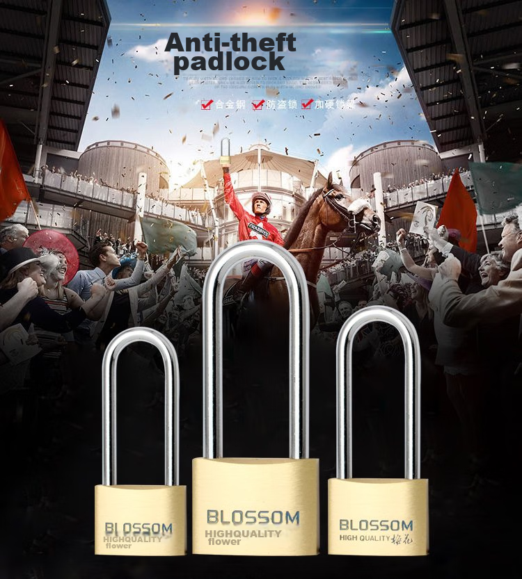 BLOSSOM Brass Padlock, Long Shackle Lock, Indoor Door Dormitory Lock, Waterproof Rust-Proof Lock, Student Drawer Cabinet Lock BC074L 1